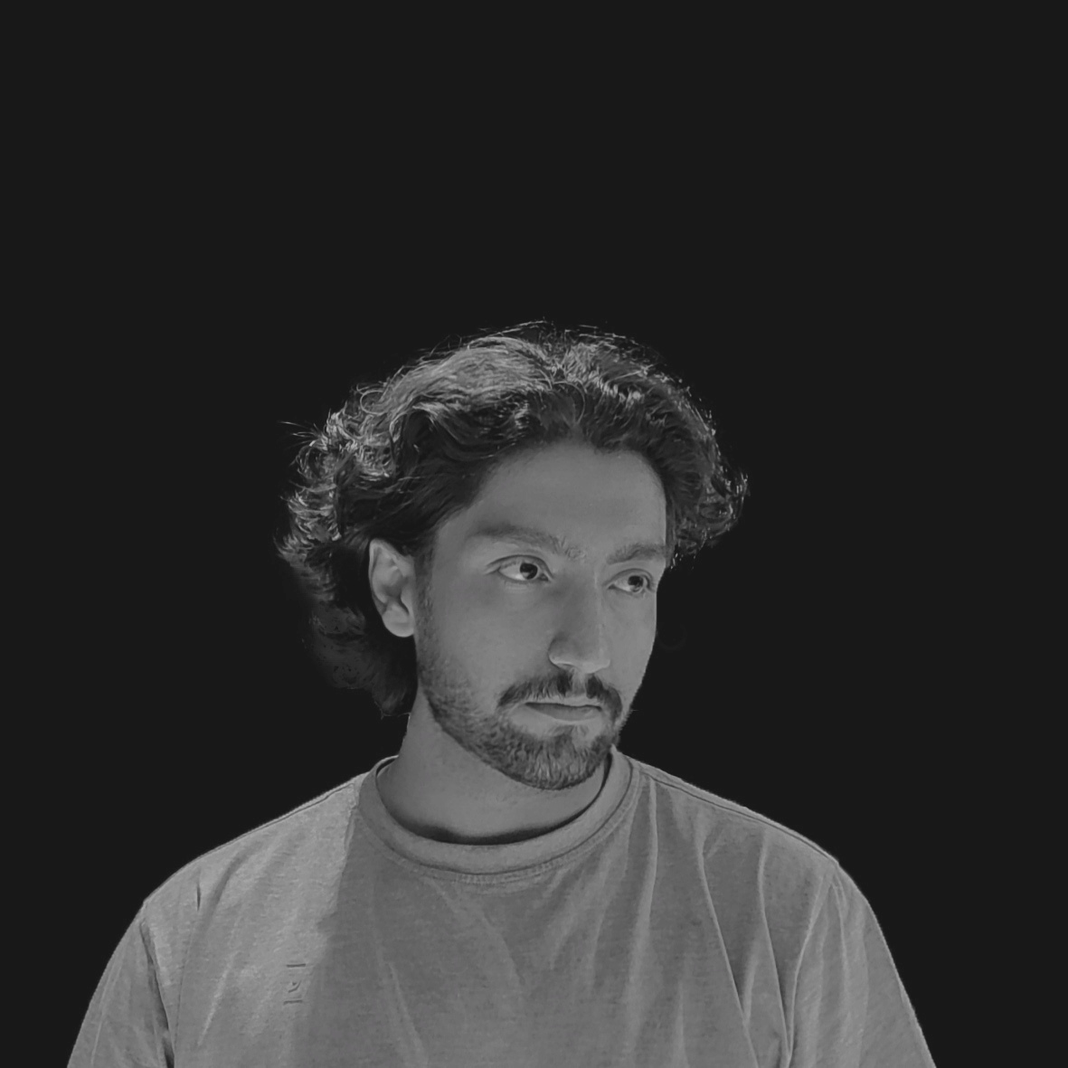 Ali Mousavi profile web developer